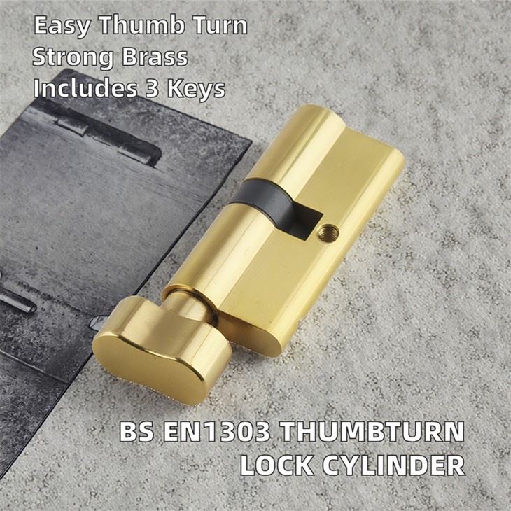 3 Star Euro Profile Cylinder suppliers 3 Star Euro Profile Cylinder suppliers